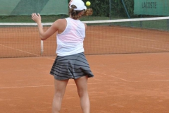 IMG.2-13